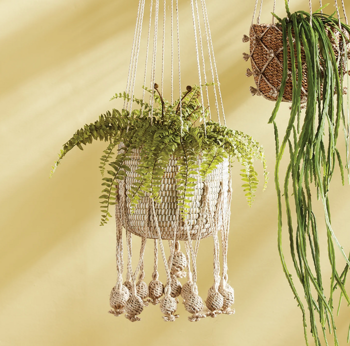 16" Boston Fern Drop In