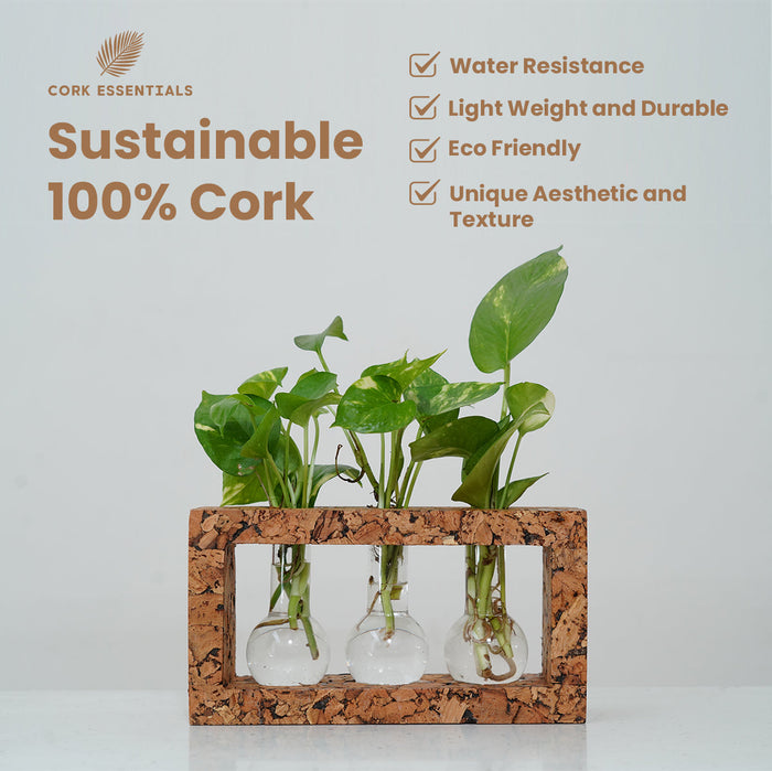 3 Beaker Planter