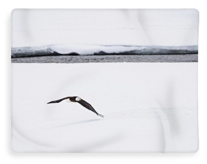Bald Eagle Fly By - Blanket-Lake Tahoe Prints