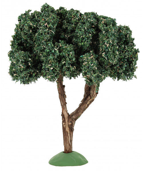 Olive Tree / Olivier - 7"