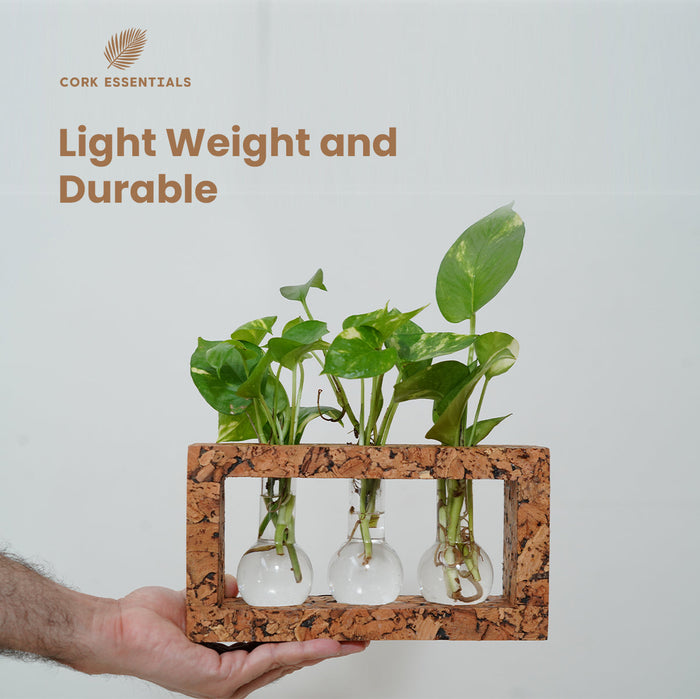 3 Beaker Planter