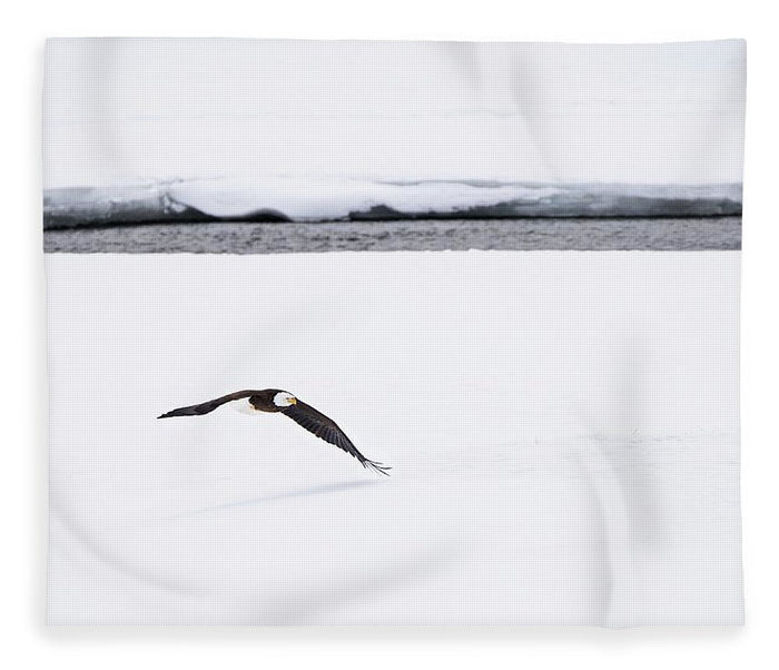 Bald Eagle Fly By - Blanket-Lake Tahoe Prints