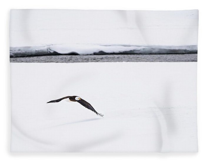 Bald Eagle Fly By - Blanket-Lake Tahoe Prints