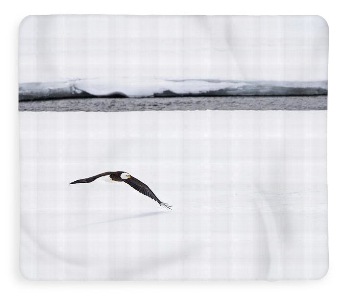 Bald Eagle Fly By - Blanket-Lake Tahoe Prints