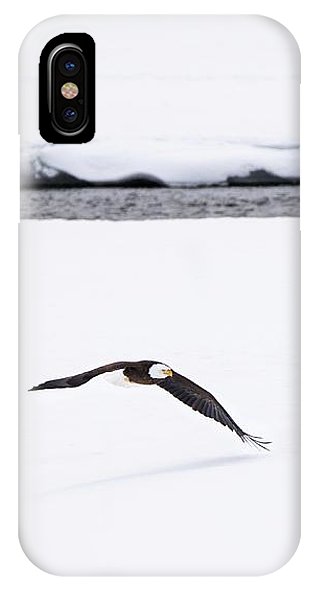 Bald Eagle Fly By - Phone Case-Lake Tahoe Prints