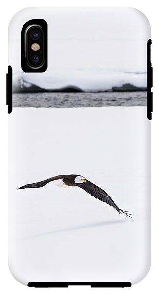 Bald Eagle Fly By - Phone Case-Lake Tahoe Prints