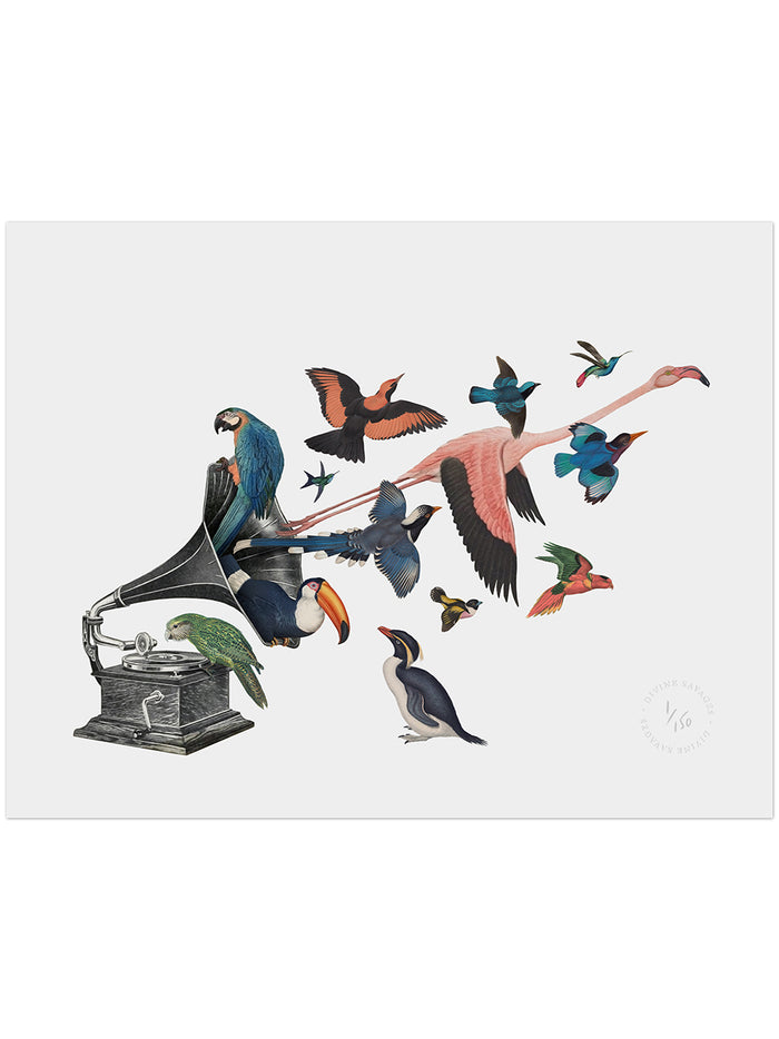 Bird Song II Limited Edition Print