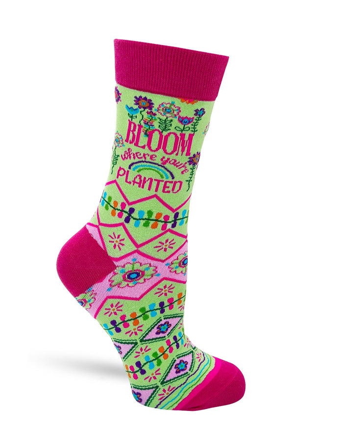 Fun ladies novelty socks
