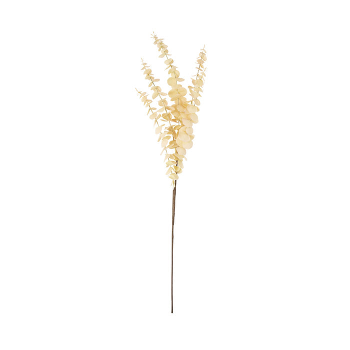 Bloomery Eucalyptus Stem Cream 76cm