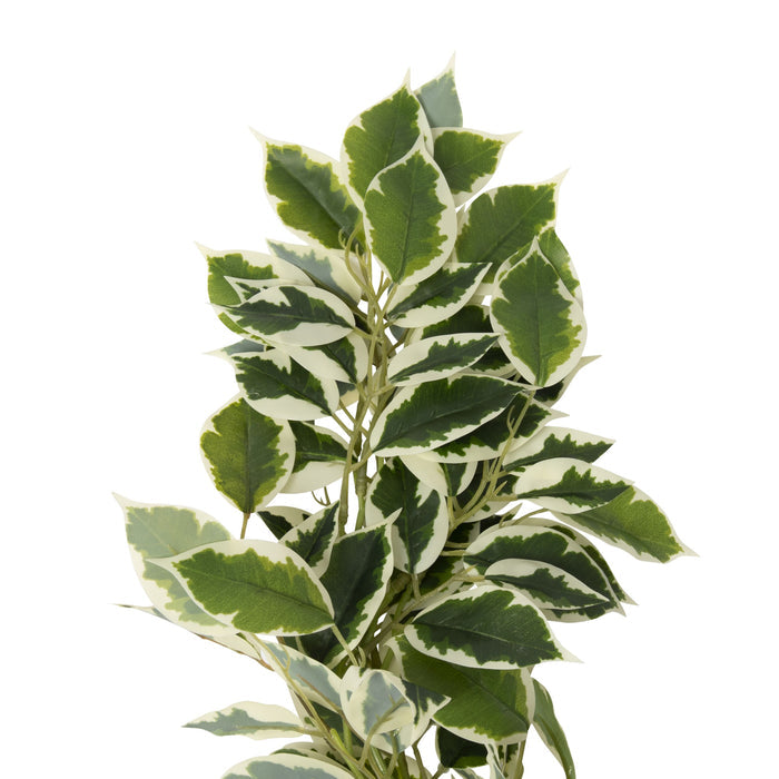 Bloomery Ficus Garland 117cm