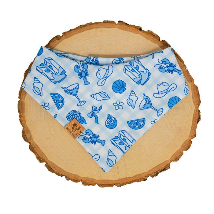 Blue Coastal Cowgirl - Bandana