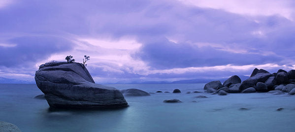 Bonsai Rock Blues By Brad Scott - Art Print