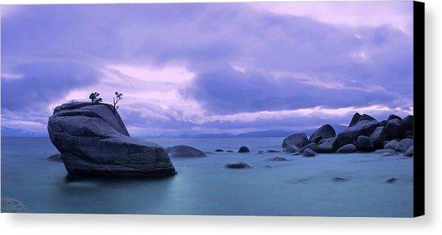Bonsai Rock Blues By Brad Scott - Canvas Print-14.000" x 6.250"-Lake Tahoe Prints