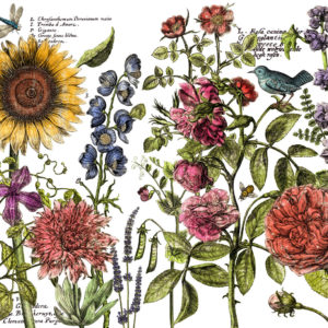 Botanist's Journal 24x33 Decor Transfer™