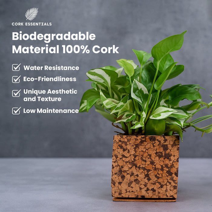 Chocochip Textured Planter