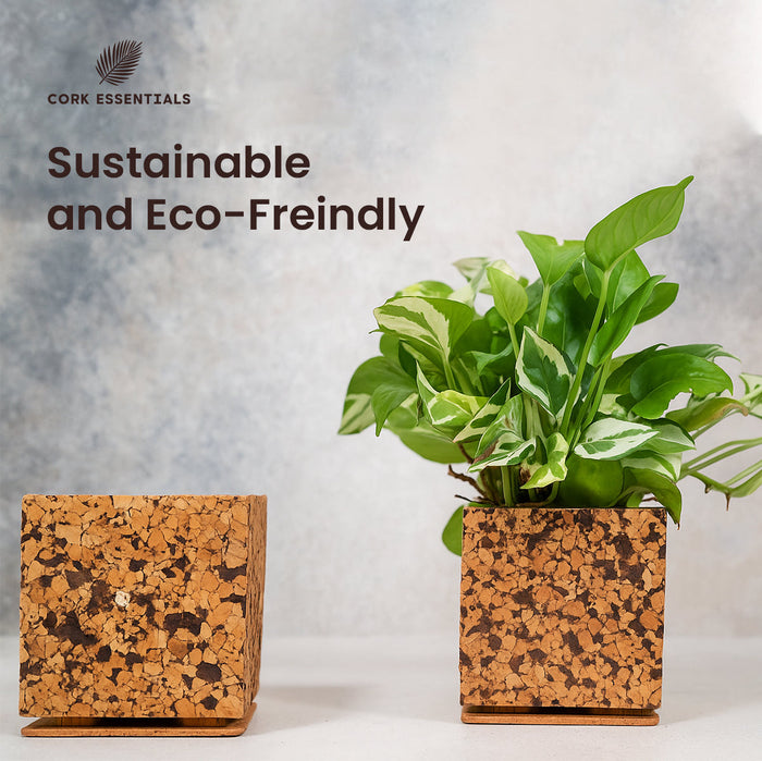 Chocochip Textured Planter