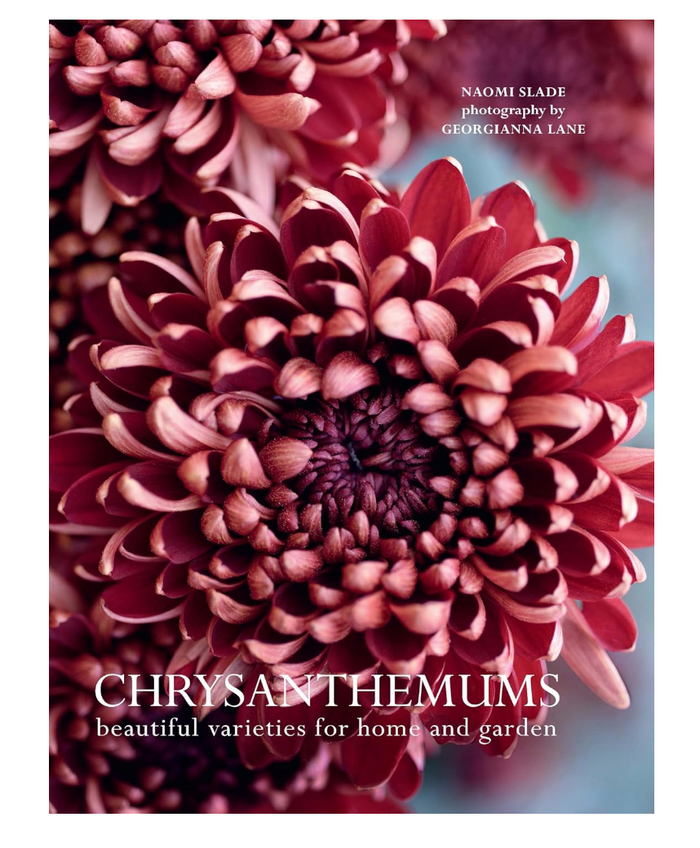 Chrysanthemums Book