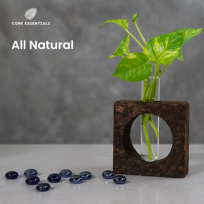 Cork vase with plant and blue stones on a gray background, featuring Cork Essentials branding.