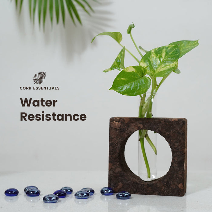 Glass vase with plant and blue stones on a white surface, featuring Cork Essentials branding.