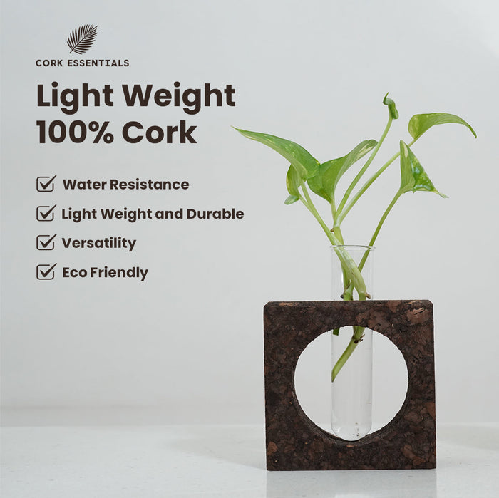 Cork Bark Planter With Test Tube