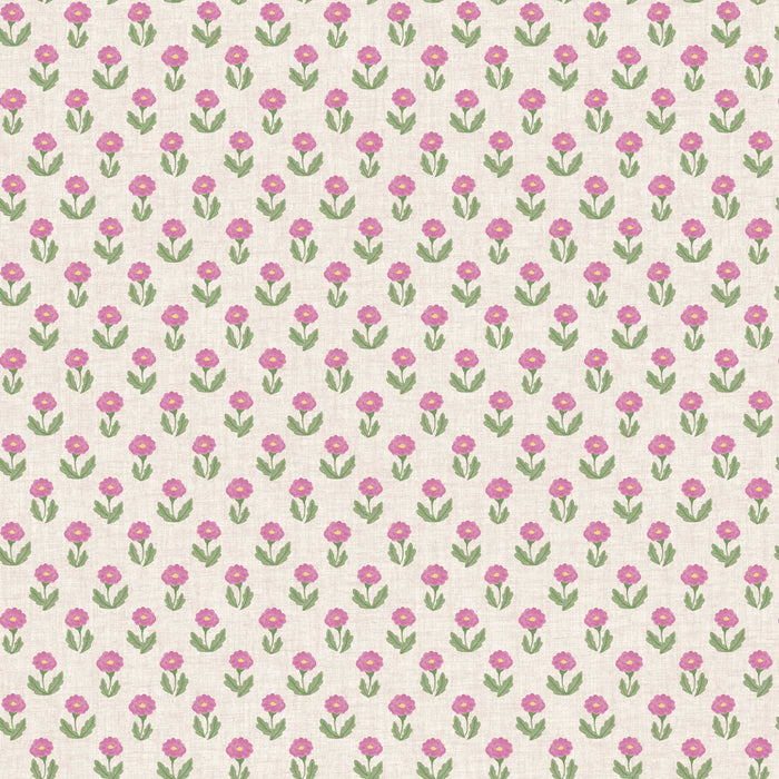 SINGLE ROLL / Pops of Pink