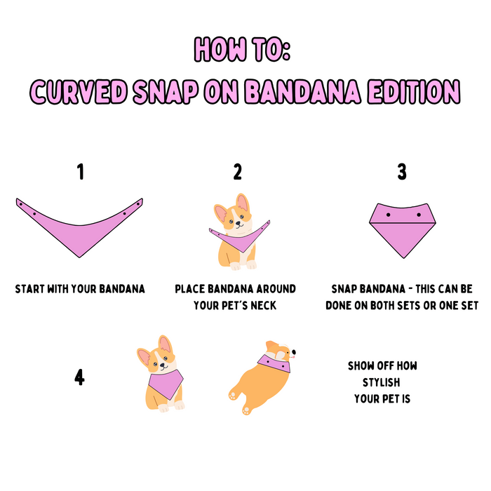 Desert Bloom (April Monthly Mystery) - Bandana