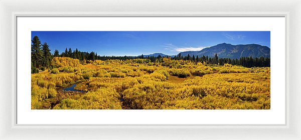 30.000" x 10.000" / White / White