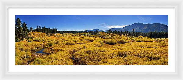 40.000" x 13.375" / White / White