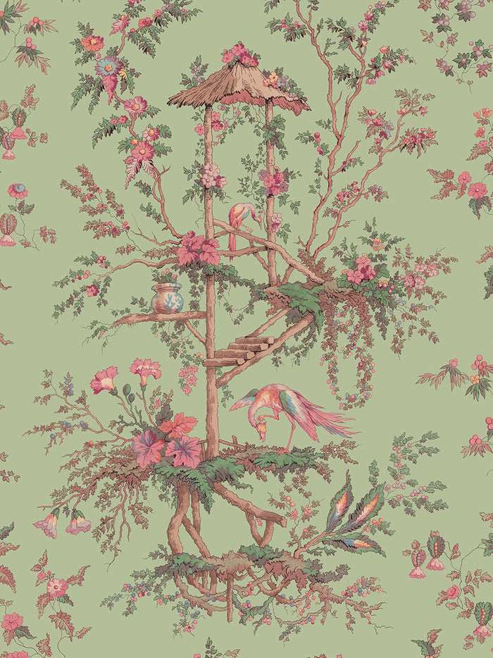 Menthe