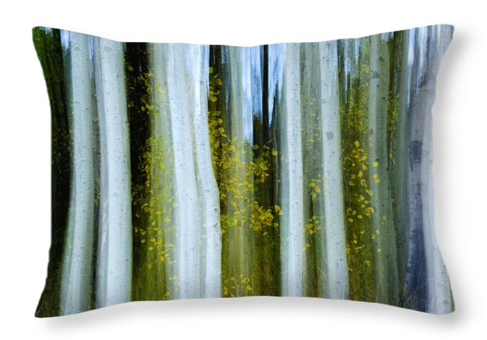 20" x 14" / No