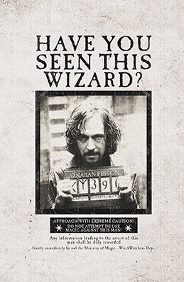 Harry Potter: Wanted Posters Pocket Notebook Collection (Set of 3)
