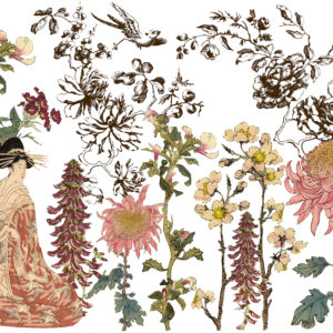 Japonica 24x33 Decor Transfer™