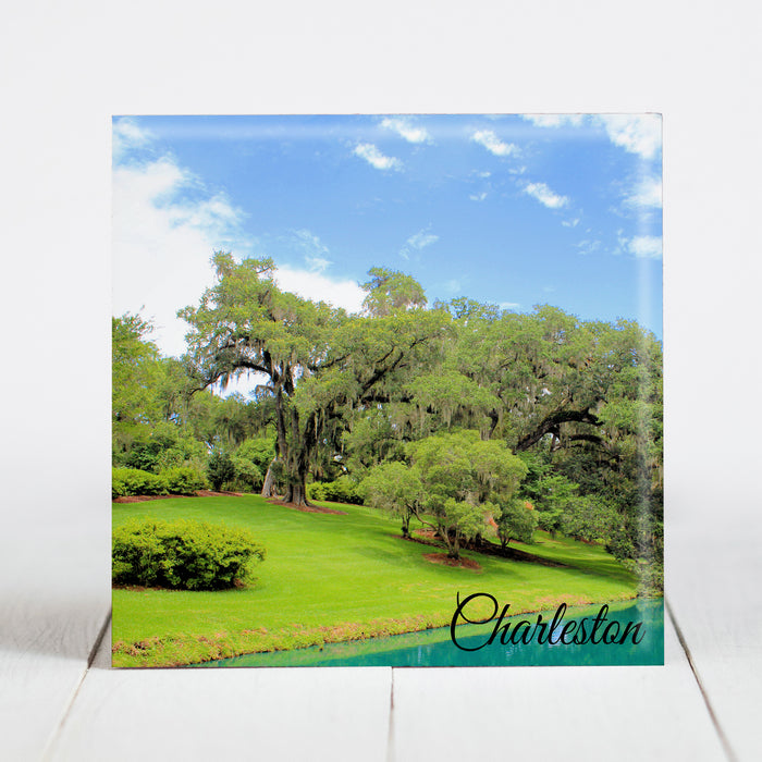 Live Oaks on Pond in Charleston, SC Area