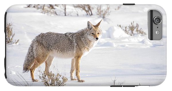 IPhone 6s Plus Tough Case