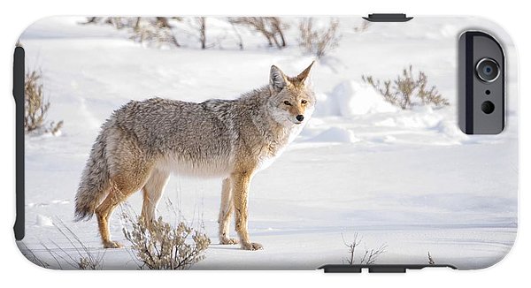 IPhone 6 Tough Case