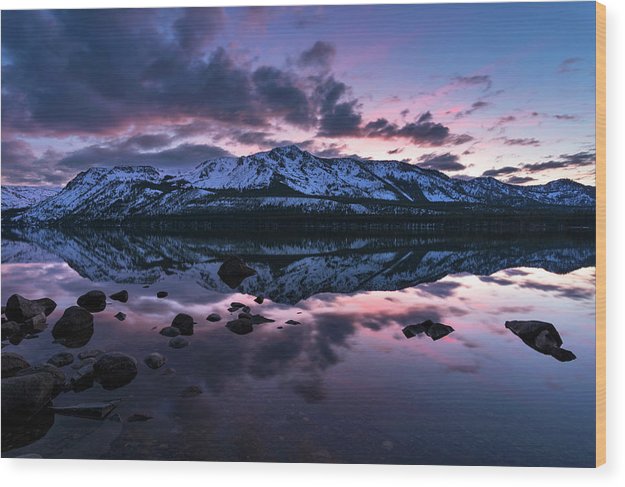 Rose Reflections By Brad Scott - Wood Print