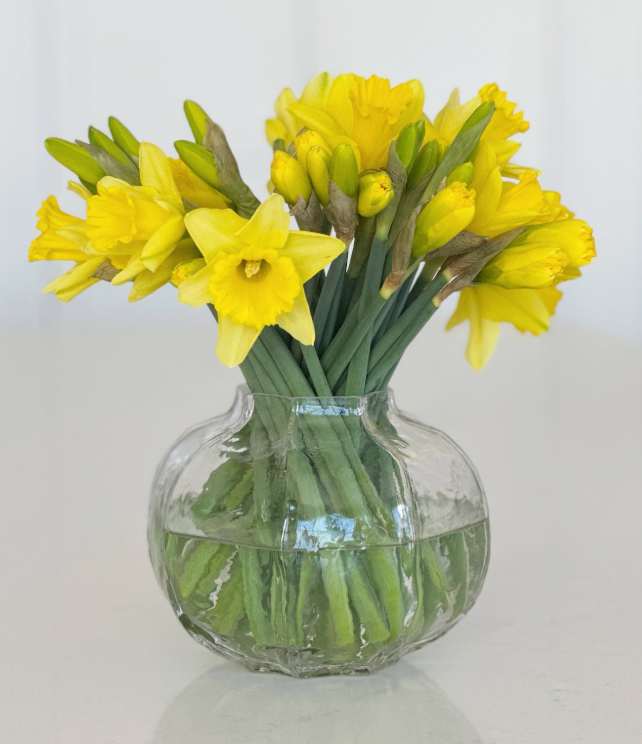 Round Clear Glass Vase, Small