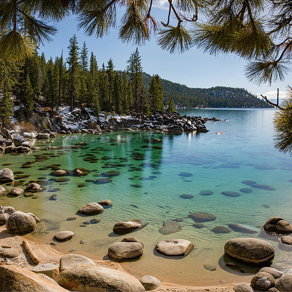 Secret Cove Through The Trees By Brad Scott - Art Print