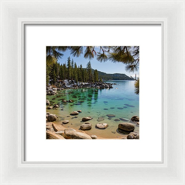 8.000" x 8.000" / White / White
