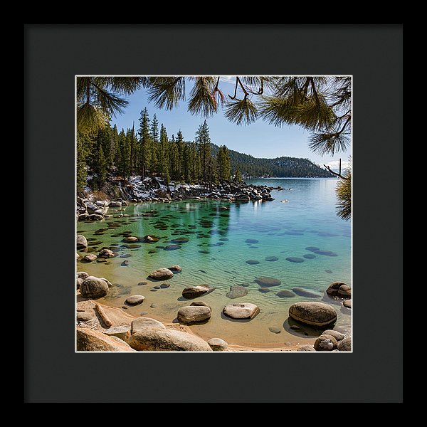10.000" x 10.000" / Black / Black