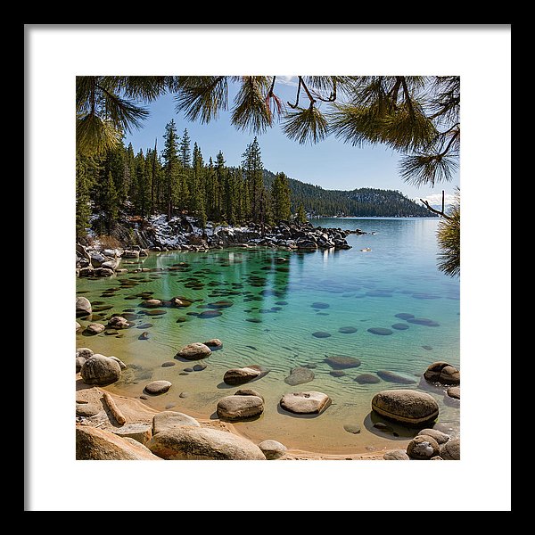 14.000" x 14.000" / Black / White