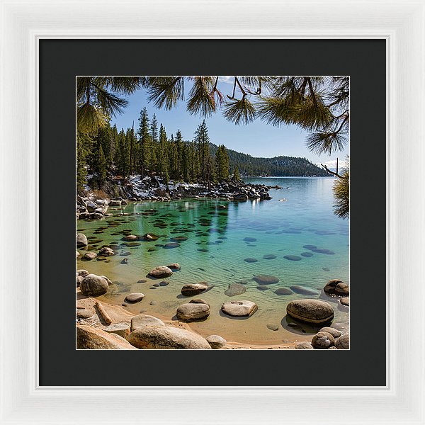 14.000" x 14.000" / White / Black