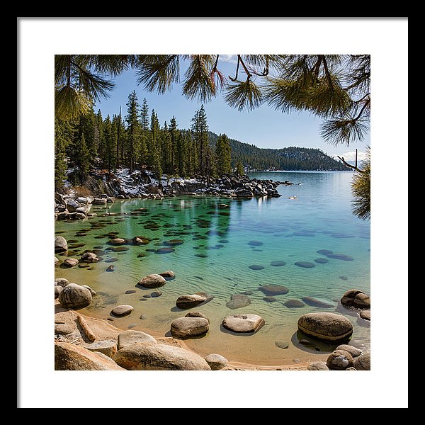 16.000" x 16.000" / Black / White