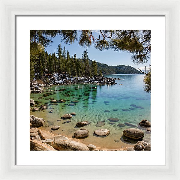16.000" x 16.000" / White / White