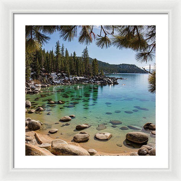 20.000" x 20.000" / White / White