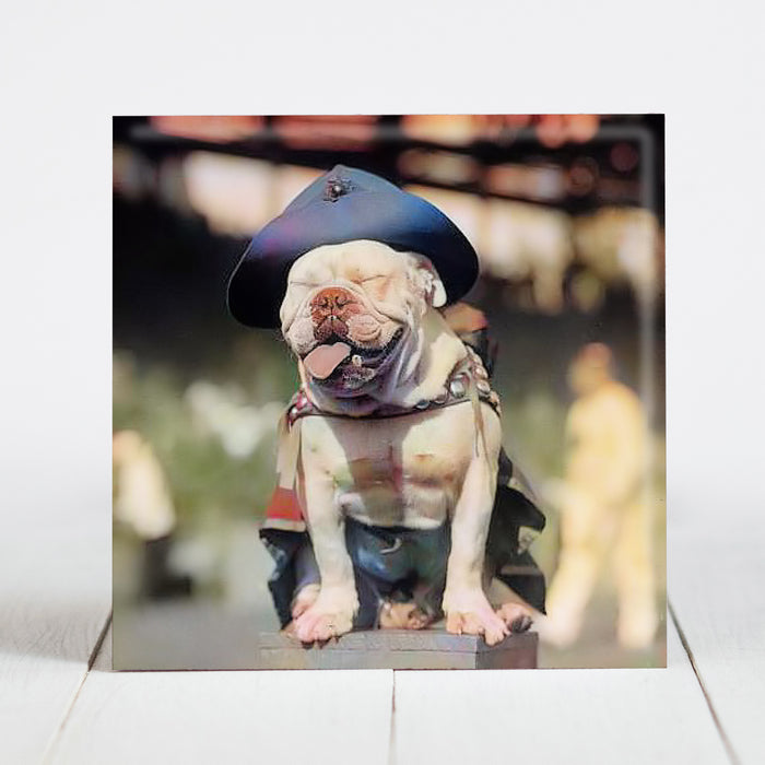 Sgt. Jiggs US Marines Bulldog Mascot