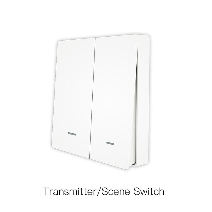 2 Gang Transmitter Scene Switch