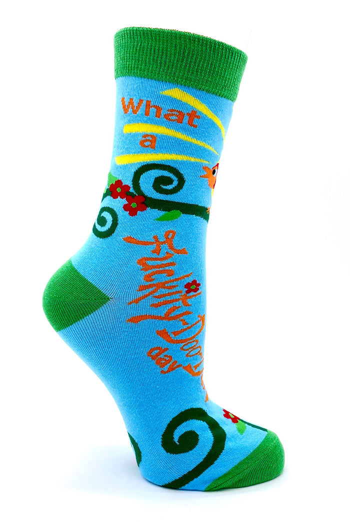 Blue q socks sassy socks What a Fuckity-Doo-Dah day