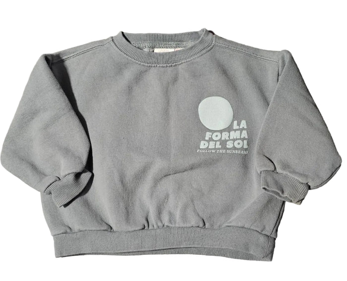 Zara baby/kids crewneck sweatshirt 2-3